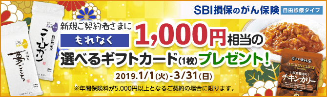 【がん保険】SBI損保のがん保険（自由診療タイプ）のご契約で1,000円相当の選べるギフトカード（1枚）をプレゼント！