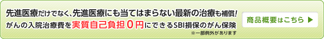 「SBI損保のがん保険」商品概要